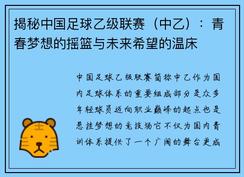 揭秘中国足球乙级联赛（中乙）：青春梦想的摇篮与未来希望的温床
