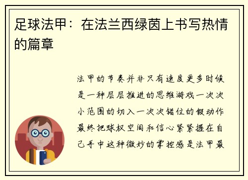足球法甲：在法兰西绿茵上书写热情的篇章
