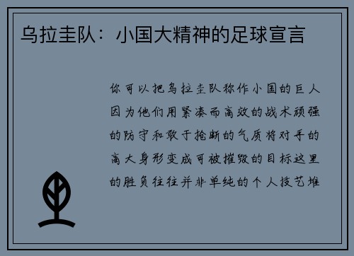 乌拉圭队：小国大精神的足球宣言