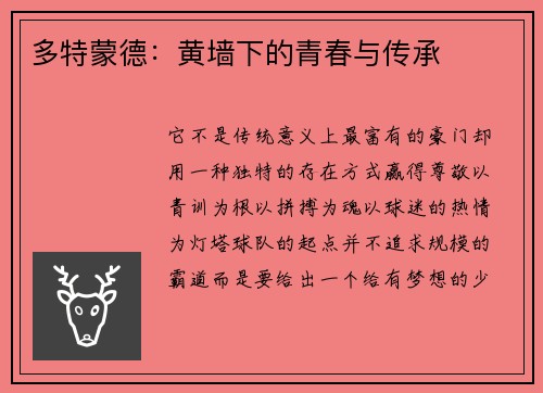多特蒙德：黄墙下的青春与传承